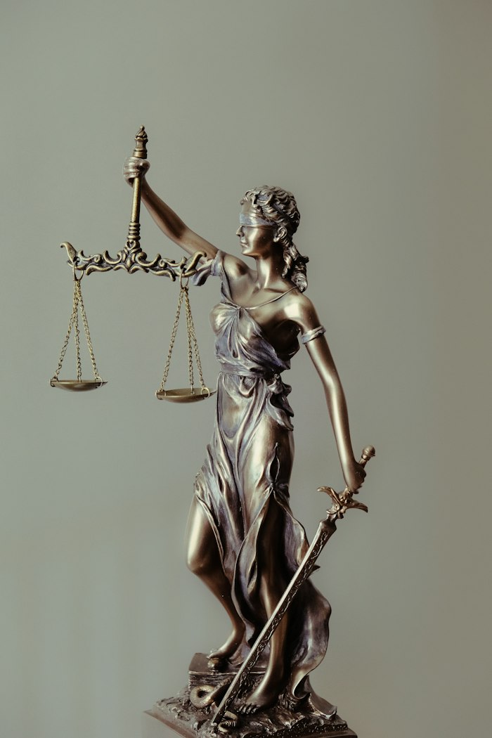 Defensa Penal Estratégica